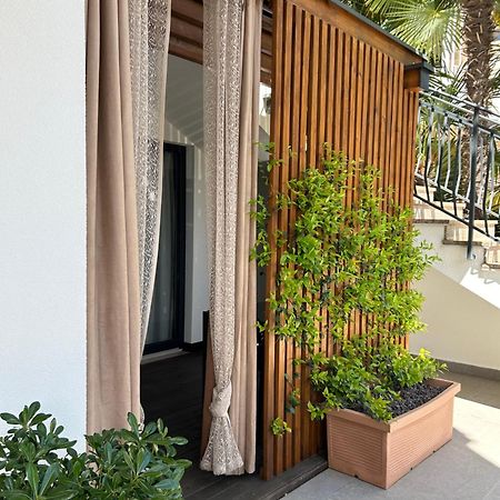Apartments Residence Radovan 1 波雷奇 外观 照片