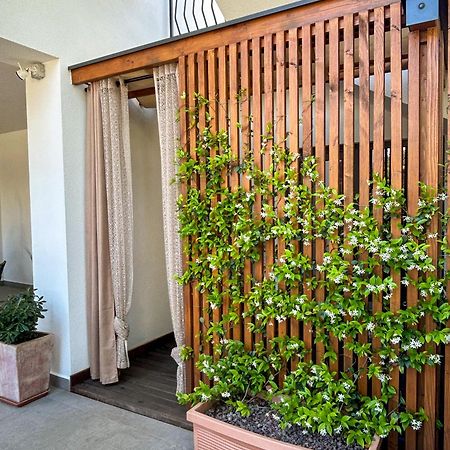 Apartments Residence Radovan 1 波雷奇 外观 照片