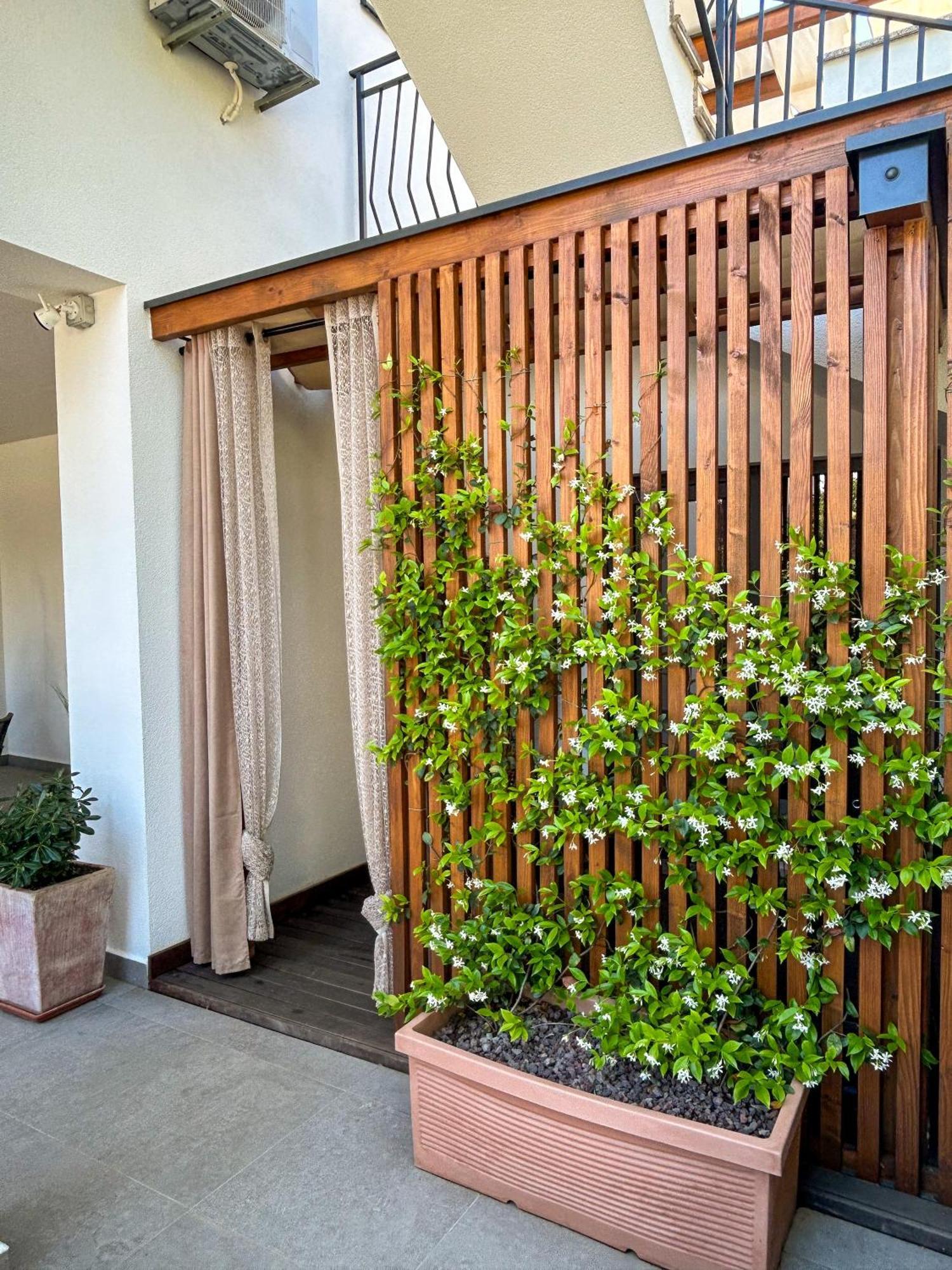 Apartments Residence Radovan 1 波雷奇 外观 照片